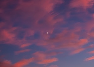 cielo, nuvole, luna, tramonto, rosso, rosa