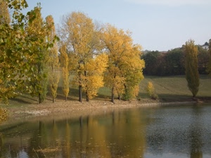 riflessi, alberi, acqua, verde, foglie, lago, autunno, giallo, cielo, prato, erba, riflesso
