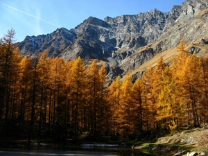 autunno, montagna, alberi, bosco, giallo, montagne, foglie, lago, cielo, piante