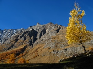 montagna, cielo, albero, alberi, giallo, rocce, azzurro, autunno, montagne, verde, neve, prati, foglie, bosco