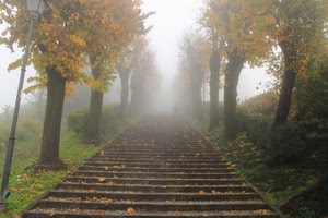 nebbia, alberi, foglie, gradini, scalinata, autunno, scala, scale, lampione