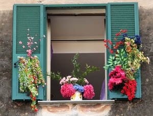 fiori, finestra, persiane, verde, colori, aperta, vaso, davanzale