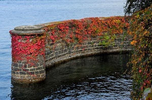 acqua, foglie, rosso, autunno, muro, edera, lago, mare, pietra, porto, muretto