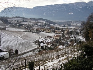 neve, case, inverno, montagne, paesaggio, alberi, montagna, campi, paese, panorama, vigneti, filari, bianco