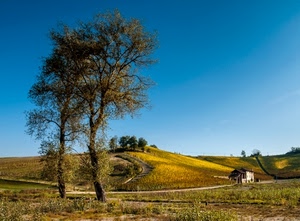 alberi, collina, panorama, casa, paesaggio, autunno, campagna, albero, cielo, casolare