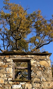 finestra, albero, pietre, rudere, cielo, rami, azzurro