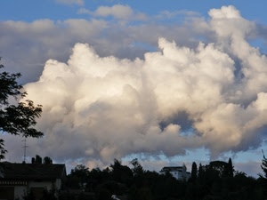 nuvole, cielo, alberi, case, antenna, rami, bianco