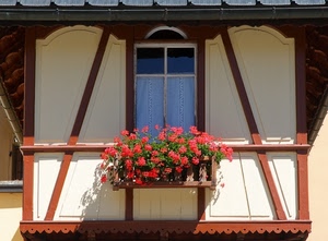finestra, balcone, fiori, rosso, gerani, legno, vaso, tendine, bianco