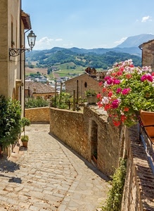 fiori, vicolo, lampione, panorama, montagne, vasi, muro