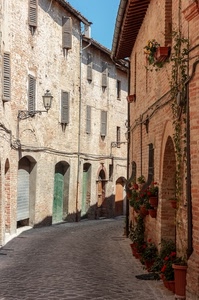 finestre, strada, fiori, vicolo, lampione, porte, vasi, persiane, borgo, piante, via, saracinesca, mattoni, palazzi, archi