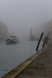 nebbia, acqua, barca, canale, pali, gabbiano, fiume