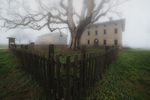albero, nebbia, prato, staccionata, casa, recinto, erba, case