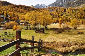 alberi, autunno, staccionata, montagna, giallo, steccato, ruscello, foglie
