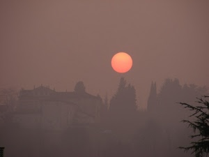 nebbia, alberi, sole, case, silhouette, rosso, foschia