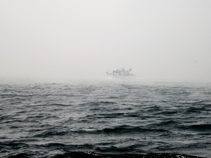 mare, nebbia, barca, acqua, onde, peschereccio, nave, bianconero, foschia