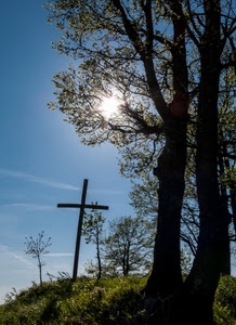 croce, cielo, alberi, erba, controluce, rami, sole, verde, azzurro, tronchi, nuvole, prato, albero, ombra, silhouette, foglie