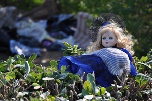 bambola, giocattolo, foglie, erba, verde, capelli, blu, prato, azzurro, siepe, bionda, occhi