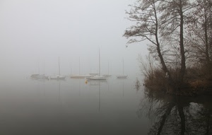 barche, nebbia, alberi, acqua, lago, riflesso, fiume