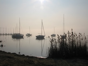 barche, nebbia, lago, riflessi, acqua, porto, controluce, alberi, riflesso
