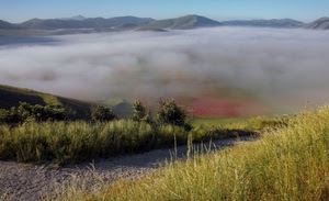 nebbia, erba, nuvole, montagna, strada, montagne, verde, alberi, sentiero, panorama, paesaggio, monti