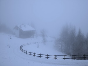 nebbia, staccionata, neve, alberi, casa, lampione, inverno, baita, montagna, steccato