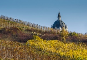cupola, giallo, cielo, vigneto, autunno, filari, chiesa, croce, vigna, piante, cupole