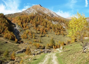 alberi, montagna, sentiero, autunno, strada, torrente, albero, cielo