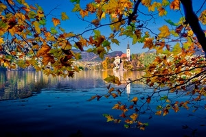 lago, foglie, albero, rami, autunno, campanile, acqua, chiesa, riflessi, riflesso, paese, cielo