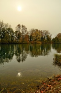 acqua, alberi, fiume, riflessi, riflesso, sole, autunno, piante