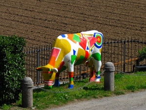 mucca, multicolore, colori, catena, erba, terra, ringhiera, giallo, rosso, siepe, animale, bianco