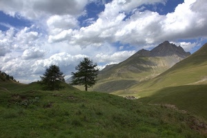 nuvole, alberi, montagna, montagne, prati, panorama, cielo, colline, verde, paesaggio, due