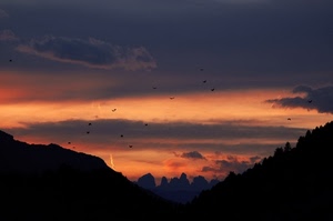 tramonto, nuvole, montagne, uccelli, controluce, arancio, cielo, montagna, nero, alberi