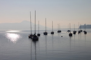barche, mare, riflesso, acqua, alberi, controluce