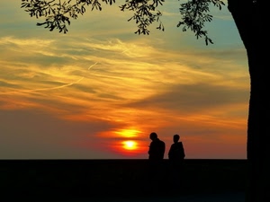 tramonto, controluce, due, persone, sole, albero, nuvole, silhouette, foglie
