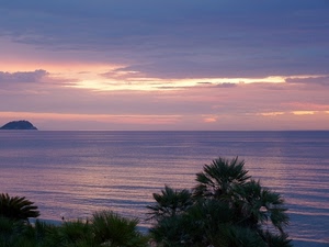 mare, isola, nuvole, tramonto, alberi, cielo, acqua, alba, palme