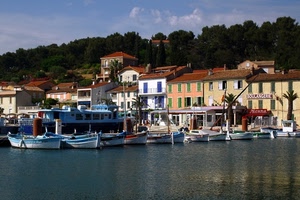 barche, porto, mare, case, alberi, acqua, paese