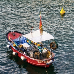 mare, boa, barca, bandiera, rosso, peschereccio, pesca, rossa, imbarcazione, giallo