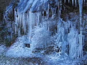 ghiaccio, inverno, rami, freddo, bianco, acqua, ghiaccioli, neve, piante, cascata