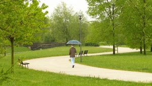 ombrello, alberi, verde, panchine, uomo, lampione, pioggia, erba, prato, parco, sentiero, giardino, passante, strada, viale, panchina
