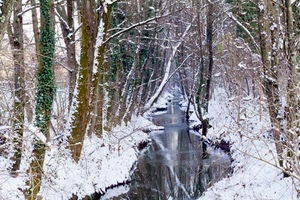 neve, alberi, inverno, fiume, acqua, ruscello, bosco, bianco, torrente, ghiaccio, rami
