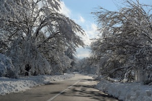 strada, neve, alberi, inverno, cielo, bianco, rami
