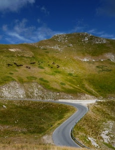 strada, montagna, cielo, curva, erba, prato, verde, curve, paesaggio