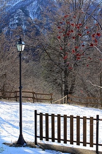 lampione, neve, alberi, staccionata, inverno, bianco, rami, montagna