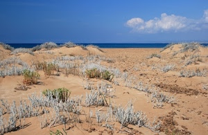 mare, sabbia, dune, spiaggia, cielo, azzurro, nuvole