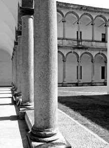 colonne, archi, bianconero, ombre, portici, prato, portico, chiostro