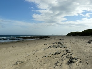 mare, sabbia, spiaggia, nuvole, cielo, acqua, persona, uomo, onde