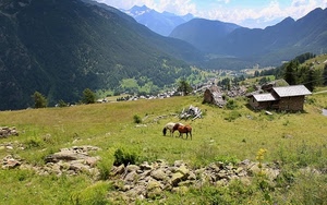 cavalli, montagne, erba, verde, panorama, montagna, prato, alberi, sassi, pietre, baita, nuvole, paesaggio, prati, pascolo, animali, case