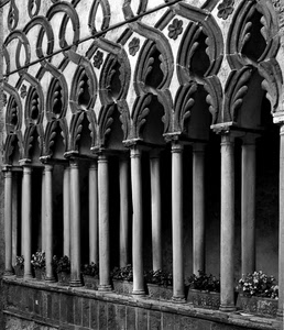 colonne, fiori, bianconero, vasi, archi, porticato, capitelli, portico