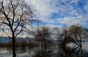 nuvole, alberi, acqua, lago, rami, cielo, azzurro, riflessi