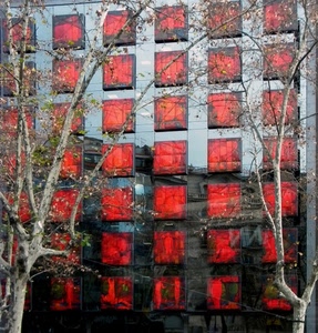 rosso, finestre, palazzo, rami, alberi, foglie, vetro, quadrati, riflesso, vetri, geometrie, albero, riflessi